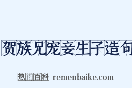 贺族兄宠妾生子造句是什么意思的图片